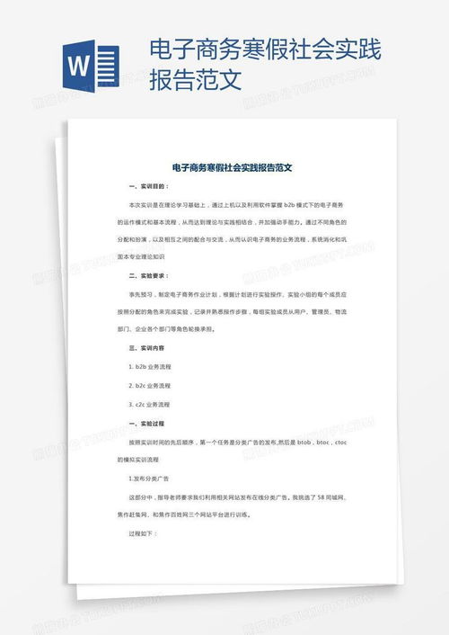电子商务专业报告文书