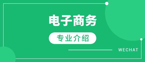电子商务专业去哪好