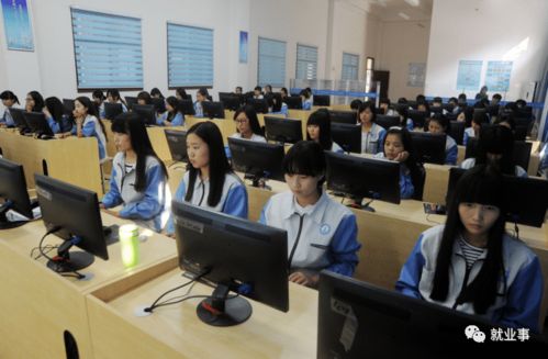 本科电子商务专业毕业后