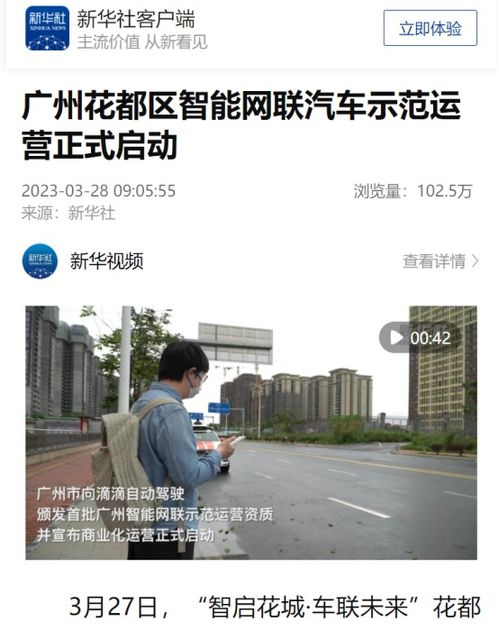 中央巡视组进驻后，童亚辉的主动投案——自我救赎的勇气与责任
