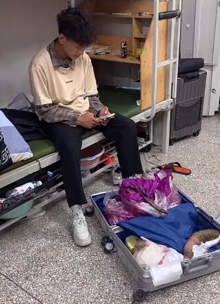 男生给舍友带了一行李箱荔枝