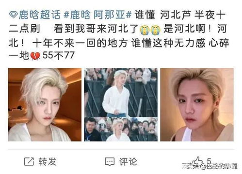 鹿晗状态回春