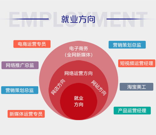 电子商务专业分几大方向