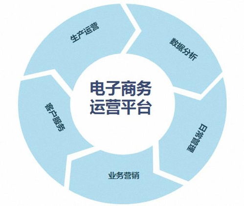 专业性电子商务是指哪些